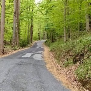 Meet your Posher, Ivette